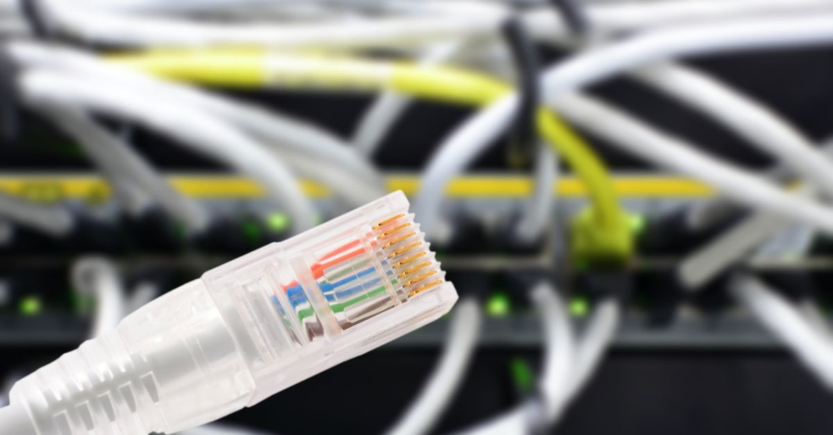 RJ45 connector for Ethernet cabling in Brisbane homes.